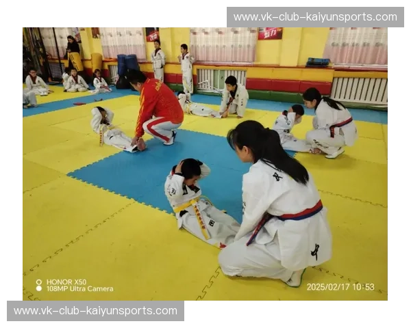 跆拳道集锦:力量与技巧的完美结合